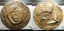 Medaglia Banca Credito Agrario