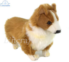 Hansa Corgi cucciolo 7594