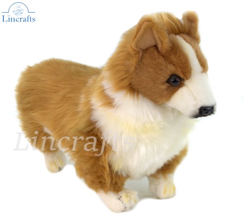 Hansa corgi cucciolo 7594 - hansa,