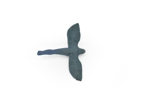 Pappagallo ara giacinto blu - giacinto,