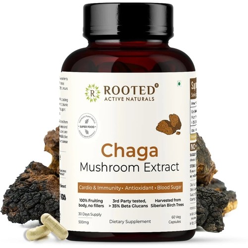 Capsule chaga biologiche - chaga,