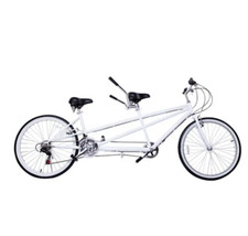 Lanying Due Posti Fat Tire