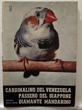 Cardinalino del Venezuela... N.8 - ed.Encia - Ornitologia