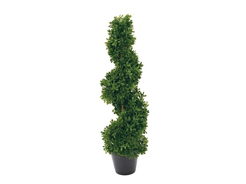 Europalms albero spirale - albero,