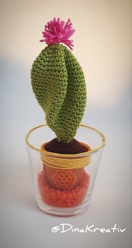 Cactus san pedro - san,