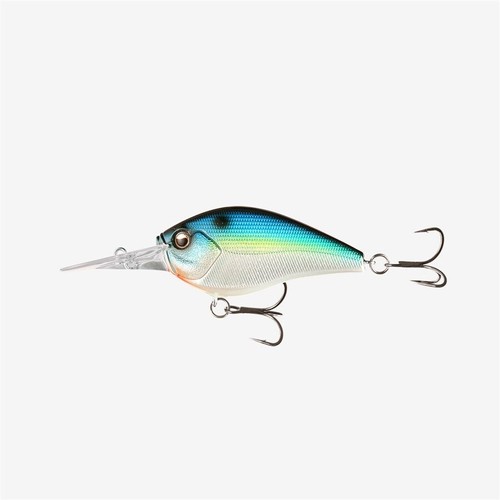Fishing cliff banger - fishing,