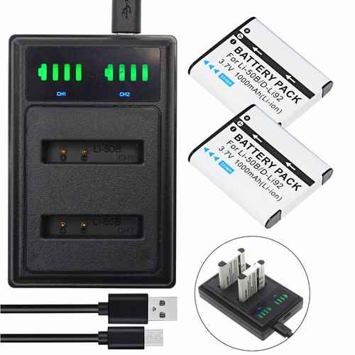 Batteria caricabatterie - 2x, +