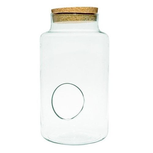 Vaso terrario con coperchio - con,