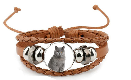 British shorthair grey cat - british, pet