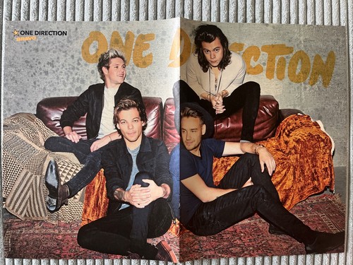 One direction harry - one,