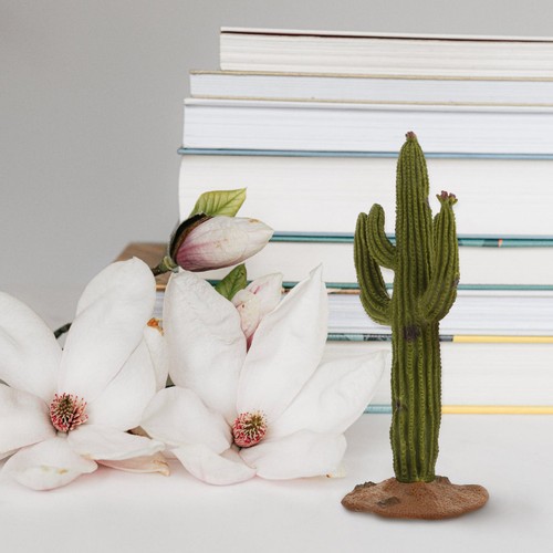 Cactus finti piccoli cacutus - piccoli,