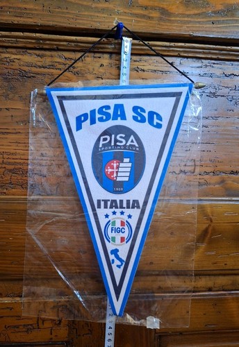 Gagliardetto pisa panno - gagliardetto,
