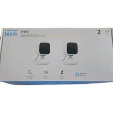 Blink Mini -2 Due Videocamera