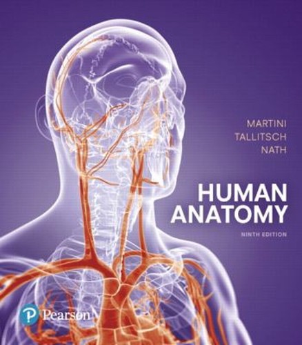 Human anatomy hardcover - human,