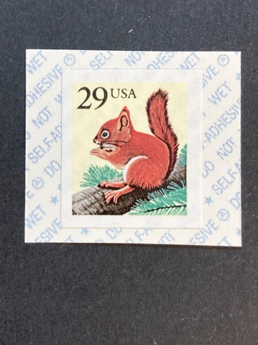 Usa 1993 animali - 1993,