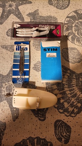 Traina costiera stim - traina,