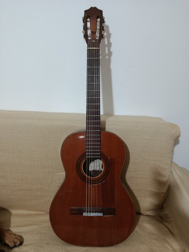 Vendesi chitarra classica eko - classica,