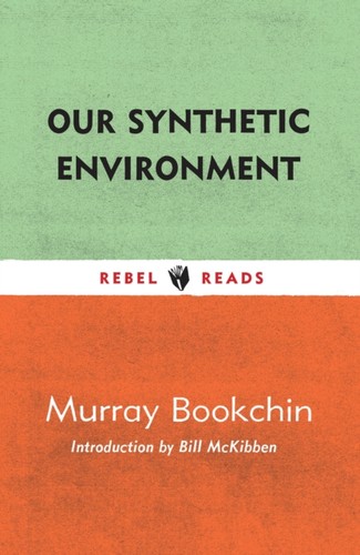 Our synthetic environment - environment, by