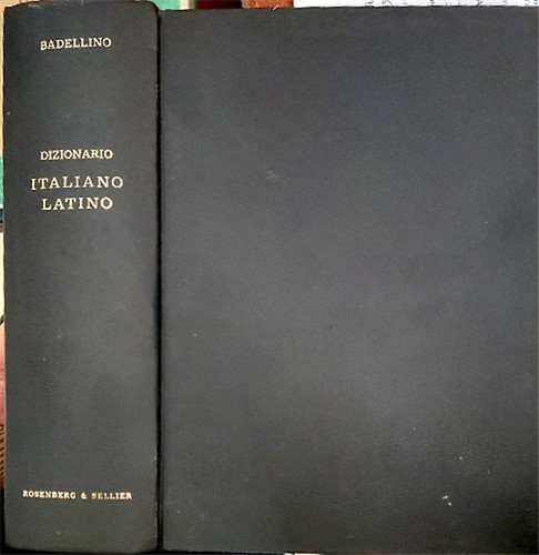 Badellino oreste dizionario - badellino,oreste.,