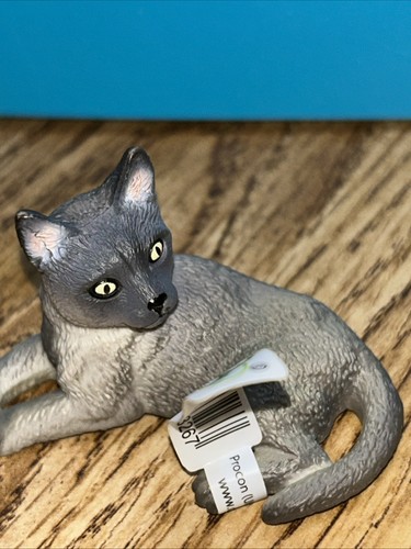 Collecta gatto birmano - birmano, in