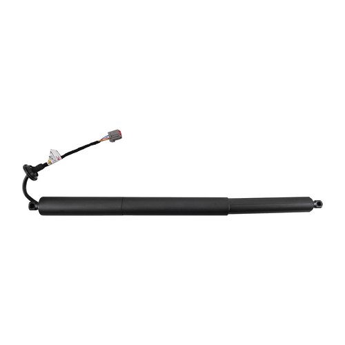 Supporto portellone elettrico