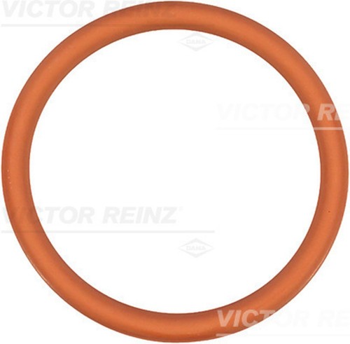 Victor reinz guarnizione - victor,