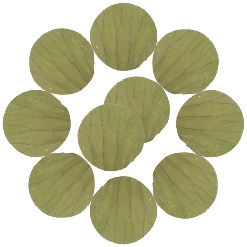 100pz foglie loto rotonde - 100pz,