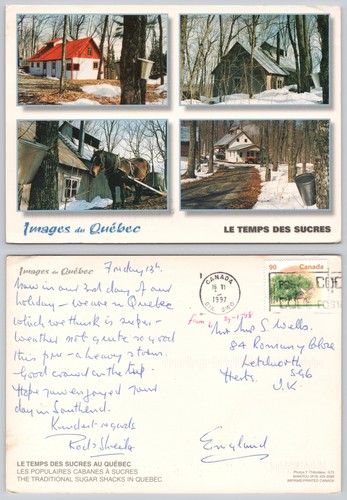 X01288 maple syrup - x01288,
