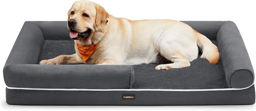Cuccia per cani ortopedica - cuccia,