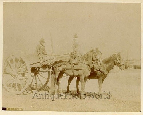 Uomo cavallo carrozza - su,