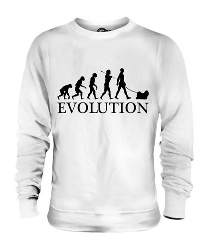 Lhasa apso evolution man - of,