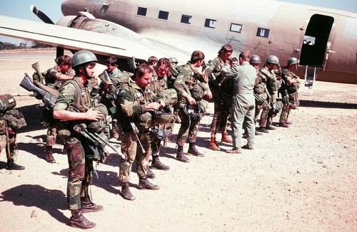 Foto colore rhodesian - foto, light