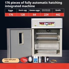 Hatching Machine Automatic