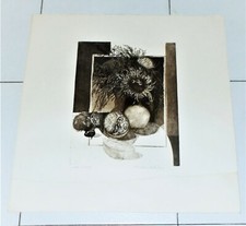 Acquaforte GIACOMO SOFFIANTINO Natura morta - FIRMATA bon a tirer 49x50 cm