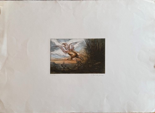 Riccardo tommasi ferroni - riccardo,