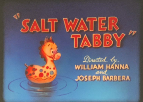 Salt water tabby - water, tabby”