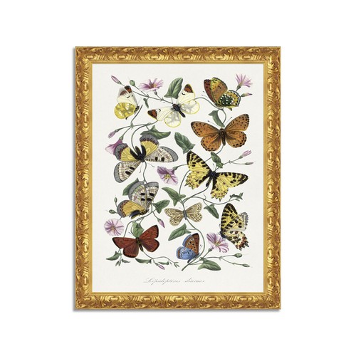 Quadro stampa tela - su, effetto