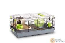 Gabbia criceto Trudy natura