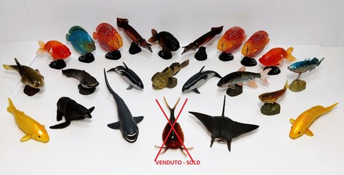 Set pesci animali marini - set,