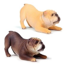 2 pezzi Bulldog cane animale