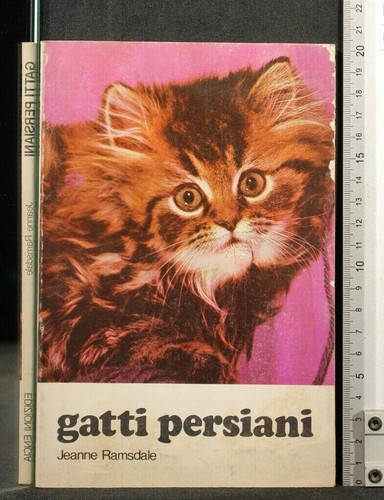 Gatti persiani jeanne - persiani.,