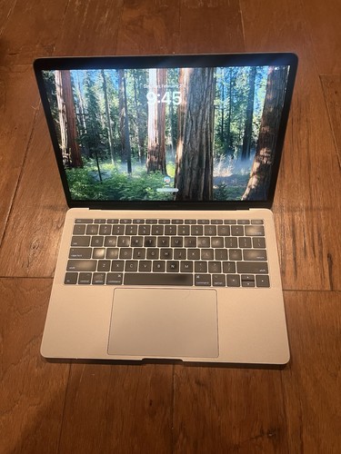 Apple macbook pro 256gb - 13", (256gb
