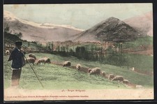 CPA Ariége, Berger Ariégeois