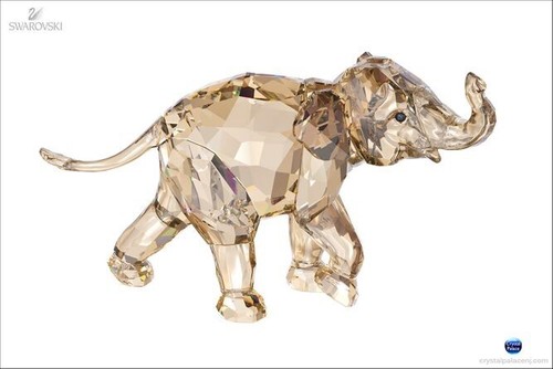 Swarovski 2013 scs young - scs,