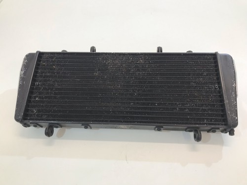 Radiatore acqua aprilia tuono - radiatore,