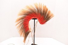 Copricapo antico porcospino scarafaggio testa indiana nativi americani pianura =