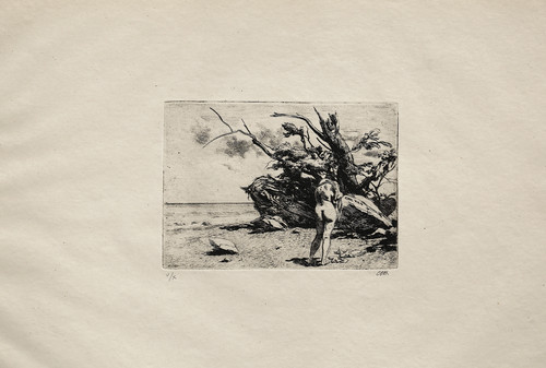 Pietro annigoni bagnante - pietro, annigoni: