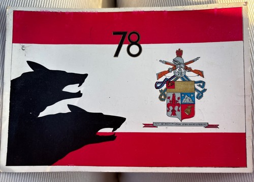 Militare reggimento f - militare,