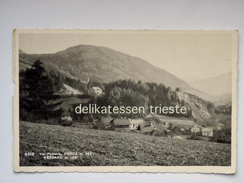Perca nessano bolzano val - perca,