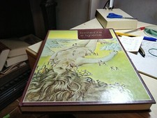 Libro Bellezza E Igiene